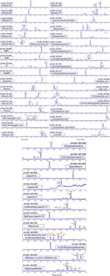 Secondary Metabolite Dereplication and Phylogenetic Analysis Identify Various Emerging Mycotoxins and Reveal the High Intra-Species Diversity in Aspergillus flavus